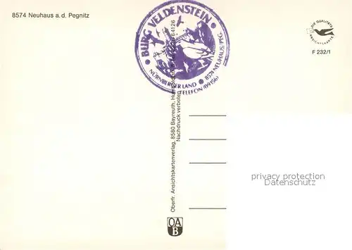 AK / Ansichtskarte Neuhaus_Pegnitz Ansicht mit Burg Veldenstein Waldpartie Neuhaus Pegnitz