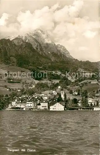 AK / Ansichtskarte Hergiswil_Vierwaldstaettersee Seeblick 