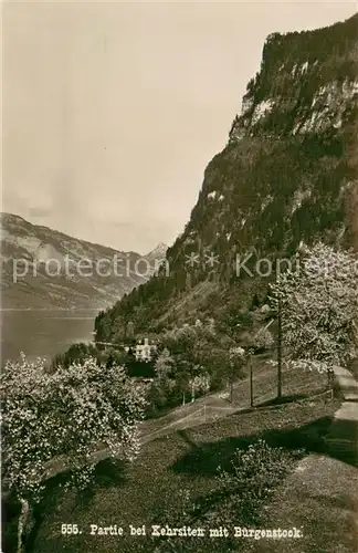 AK / Ansichtskarte Kehrsiten_Vierwaldstaettersee mit Buergenstock 