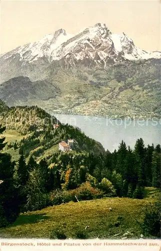 AK / Ansichtskarte Buergenstock_Vierwaldstaettersee Hotel und Pilatus von der Hammetschwand aus Buergenstock