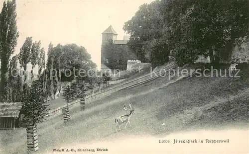 AK / Ansichtskarte Rapperswil_BE Hirschpark Rapperswil BE