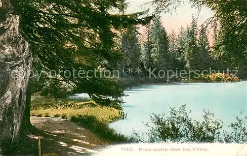AK / Ansichtskarte Flims_GR Prau pulte See Flims_GR