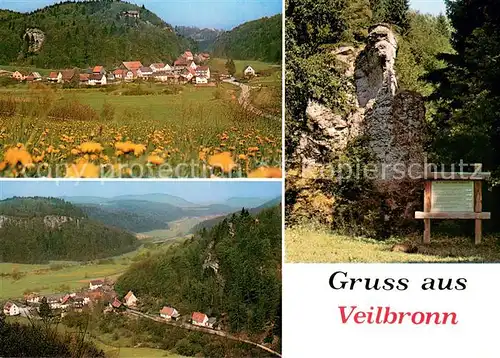 AK / Ansichtskarte Veilbronn Panorama Felsen Landschaft Fraenkische Schweiz Veilbronn