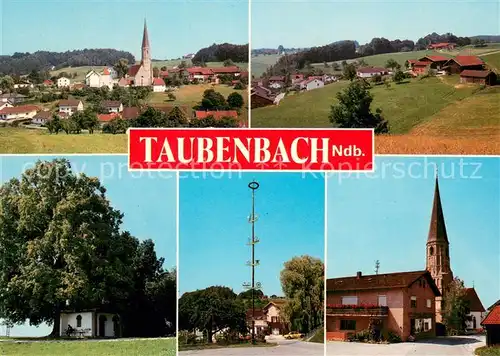 AK / Ansichtskarte Taubenbach_Niederbayern Ortsansicht mit Kirche Maibaum Taubenbach Niederbayern