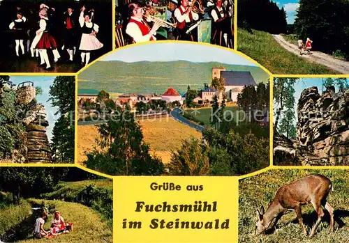 AK / Ansichtskarte Fuchsmuehl Panorama Steinwald Felsen Natur Reh Folklore Musikkapelle Fuchsmuehl