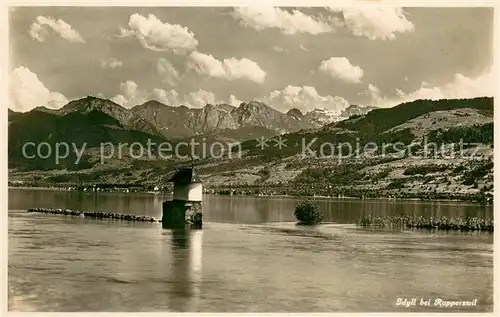 AK / Ansichtskarte Rapperswil_Zuerichsee_BE Panorama 