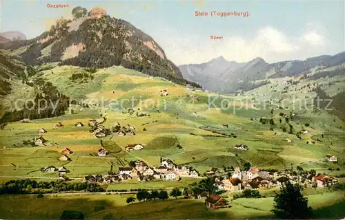 AK / Ansichtskarte Stein_Toggenburg_SG Panorama mit Goggeyen und Speer 