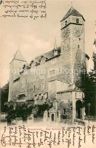 AK / Ansichtskarte Rapperswil_Zuerichsee_BE Das Schloss 
