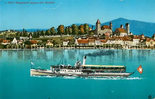 AK / Ansichtskarte Rapperswil_Zuerichsee_BE Panorama mit Bachtel 