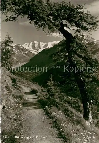 AK / Ansichtskarte Piz_Palue Hoehenweg Piz_Palue