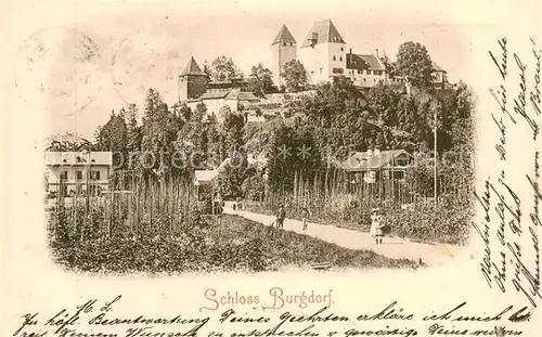 AK / Ansichtskarte Burgdorf_BE Schloss Burgdorf 