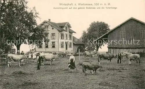 AK / Ansichtskarte Wartensee_Rorschach_SG Wirtschaft zum Wartensee Rinderweide 