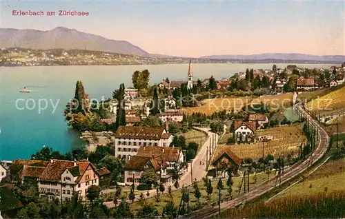 AK / Ansichtskarte Erlenbach__ZH Panorama am Zuerichsee 