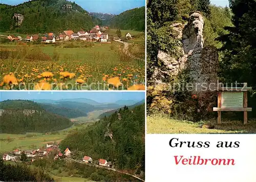 AK / Ansichtskarte Veilbronn Panorama Fraenkische Schweiz Felsen Natur Veilbronn