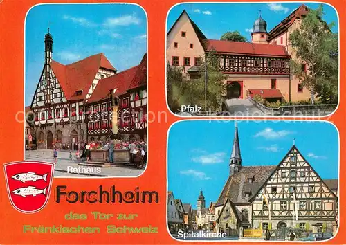AK / Ansichtskarte Forchheim_Oberfranken Zentrum Rathaus Brunnen Fachwerkhaus Pfalz Spitalkirche Forchheim Oberfranken