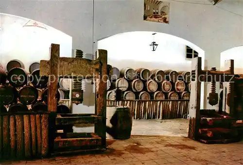 AK / Ansichtskarte Llagostera_ES Bodega Ramiro 