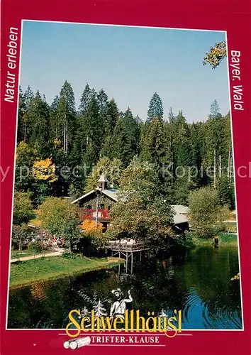 AK / Ansichtskarte Zwiesel__Niederbayern Schwellhaeusl  