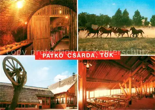 AK / Ansichtskarte Toek_Ungarn Patko Csarda Details Toek_Ungarn