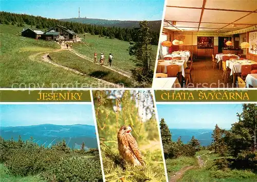 AK / Ansichtskarte Jeseniky_CZ Turisticka chata stoji na lucinatem svahu Maleho Deda pri hlebenove tunsticke ceste  