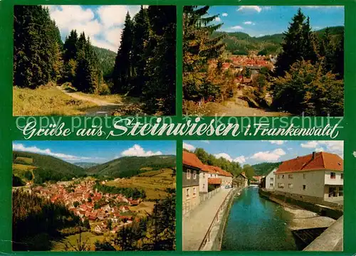 AK / Ansichtskarte Steinwiesen Waldpartie Panorama Kanal Steinwiesen