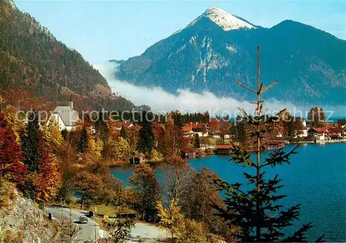 AK / Ansichtskarte Walchensee mit Jochberg Walchensee