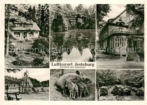 AK / Ansichtskarte Jesteburg Gasthaus Fuchsbau Loebofer Fischteiche Gasthaus Buehr Badeanstalt Idyll am Itzenbuettel Huenengrab im Kleckerwald Jesteburg