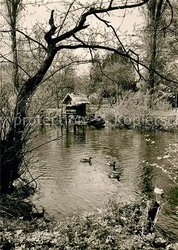 AK / Ansichtskarte Fischerhude Entenhuette an der Wuemme Fischerhude