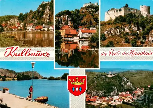 AK / Ansichtskarte Kallmuenz Partien an der Naab Schlossruine Promenade Panorama Kallmuenz