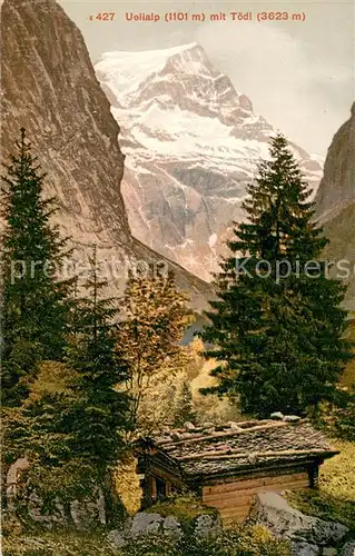 AK / Ansichtskarte Toedi_3623m_GL Uelialp 