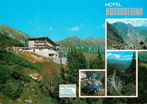 AK / Ansichtskarte Nizke_Tatry_Slovakia Inter Hotel Kosodrevina 