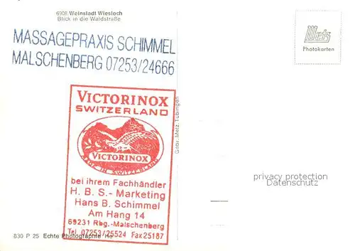 AK / Ansichtskarte Wiesloch Blick in die Waldstrasse Wiesloch