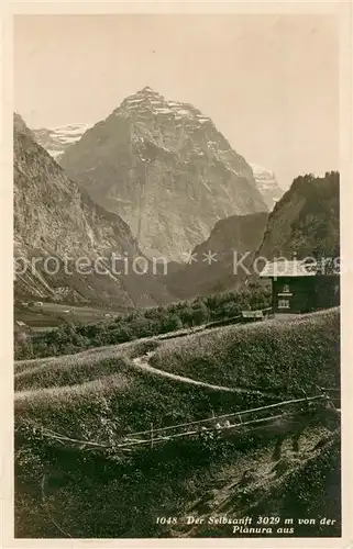 AK / Ansichtskarte Selbsanft Blick von der Planura Selbsanft