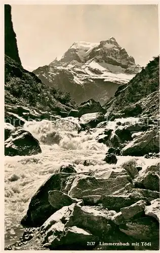 AK / Ansichtskarte Toedi_3623m_GL mit Limmernbach 
