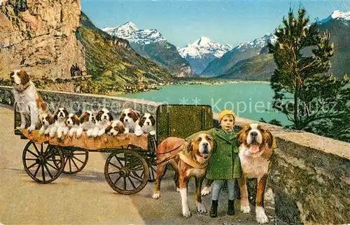 AK / Ansichtskarte Flueelen_UR St Bernhard Zwinger Zwing Uri Flueelen_UR