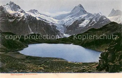 AK / Ansichtskarte Bachalpsee_BE Panorama 