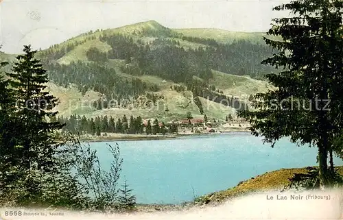 AK / Ansichtskarte Lac_Noir_Schwarzsee_FR Panorama Lac_Noir_Schwarzsee_FR