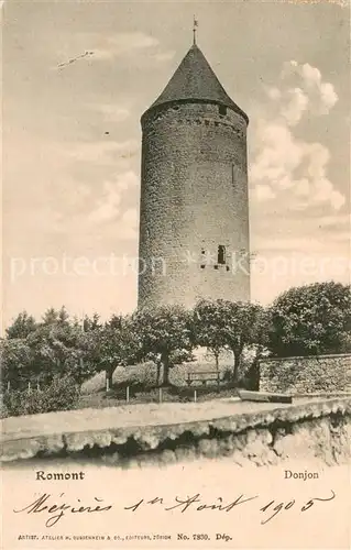 AK / Ansichtskarte Romont__FR Donjon 