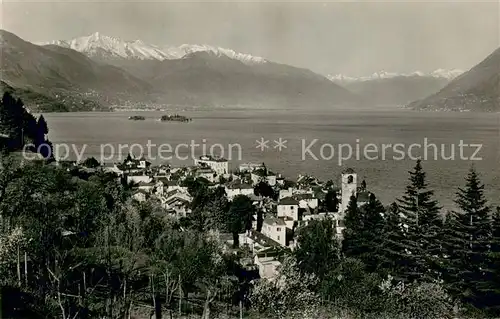 AK / Ansichtskarte Brissago_Lago_Maggiore Panorama Brissago_Lago_Maggiore