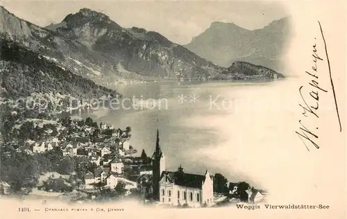 AK / Ansichtskarte Weggis_Vierwaldstaettersee Panorama Alpen Weggis_Vierwaldstaettersee