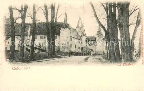 AK / Ansichtskarte Colombier__NE Le Chateau 