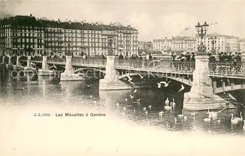 AK / Ansichtskarte Geneve_GE Les Mouettes Geneve_GE