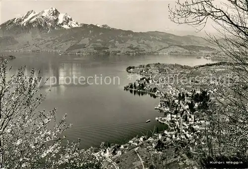 AK / Ansichtskarte Weggis_Vierwaldstaettersee Panorama mit Pilatus Weggis_Vierwaldstaettersee