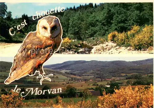 AK / Ansichtskarte Morvan_Le_(Region) C est chouette le Morvan 