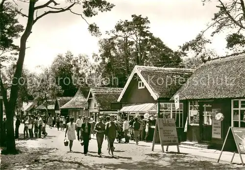 AK / Ansichtskarte Prerow_Ostseebad Weg zum Strand Prerow_Ostseebad