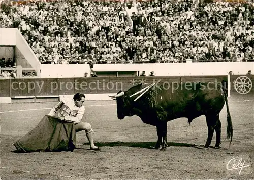 AK / Ansichtskarte Stierkampf_Corrida_de_Torros Cely Nr.1676 Adorno 