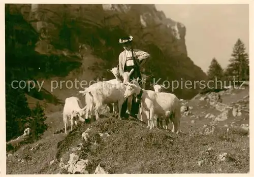 AK / Ansichtskarte Schaeferei_Landwirtschaft Nach der Alpfahrt Alpstein 