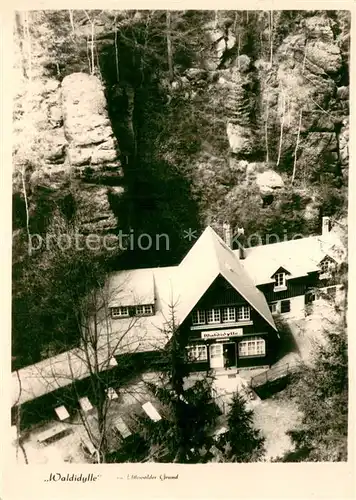 AK / Ansichtskarte Waldidylle im Uttewalder Grund Waldidylle