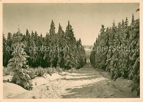 AK / Ansichtskarte Sauschwemme Skigelaende am Fuss des Auersberges Sauschwemme