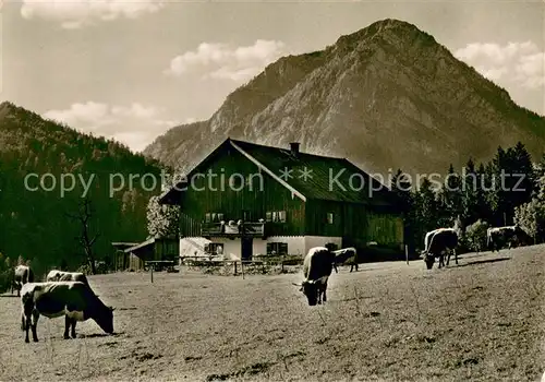 AK / Ansichtskarte Weissbach_Alpenstrasse Hoellenbachalm Weissbach_Alpenstrasse