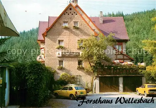 AK / Ansichtskarte Wellesbach_Oberfranken Gast und Forsthaus Wellesbach Wellesbach_Oberfranken